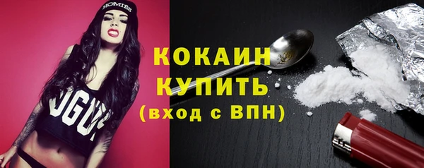 соль ск Абаза