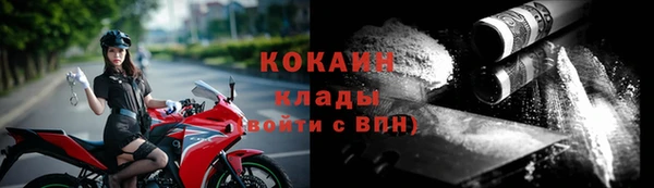 соль ск Абаза