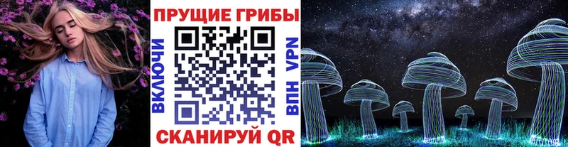 блэк спрут ONION  Яровое  Псилоцибиновые грибы Psilocybe 