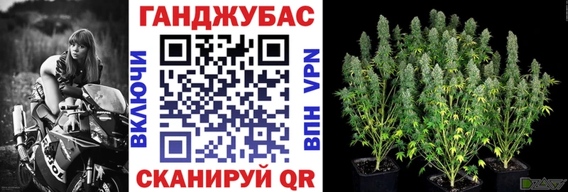 как найти наркотики  Яровое  Бошки марихуана конопля 